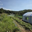 건우농장 이미지