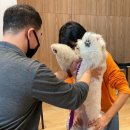 소노캄 고양 휘트니스 이미지