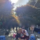 부석사아래단풍길펜션 | 청산도 여행 &amp; 단풍길 축제 “힐링이 이런 거구나…” 청산도 여행펜션 숙박 후기