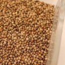 들깨 효능 부작용 들깨가루 효능 칼로리 이미지