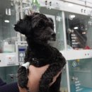 유니온동물의료센터 이미지