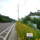 일풍태양광발전소 이미지