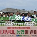 함평나비대축제 네이버블로그