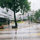 메디정문약국 이미지