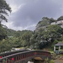 낭낭그루밍 이미지