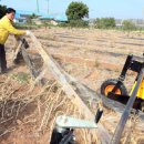 관정2리 이미지