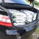 다산포도농원