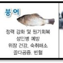 산야초웰빙건강원 - 구리시 검배로60번길 7 | 산야초웰빙건강원