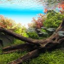 우드 스토리 이미지