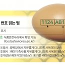 행복양계장 이미지