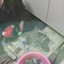 제주종합인력공사 | 연재종합설비 덕분에 해결된 제주 하수도 공사 후기