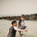 하림여행사 제주도미니버스