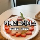 카페인그레이스
