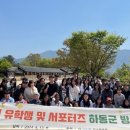 디자인마인드 이미지