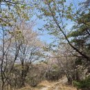 자진뱅이길 이미지