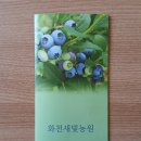 새빛농원 - 1579 | 새빛농원