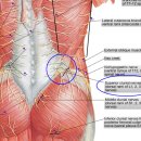 화목한의원 이미지