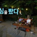 도시속의약초건강원자연산