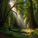 장기비타민약국 이미지