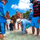 화이트 헤븐 이미지