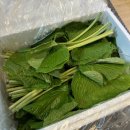 두루미 농원 이미지