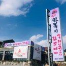 동굴 낙지와 쭈꾸미 이미지