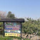 양우농장 | 주말에 아기랑 갈만한 곳 [할아버지 동물농장] 솔직 후기
