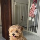 도기로움 이미지