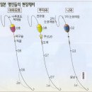 명인낚시