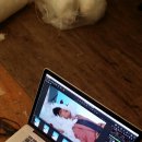 이슈헤어 - 포항시 남구 | 이슈헤어