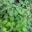 김희수농장 이미지