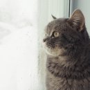 케이지메디칼 이미지