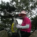 동보 당구장 이미지