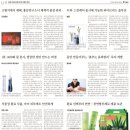 끌리메에스테틱