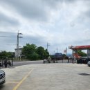 개멍물멍 이미지