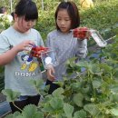 포승농장 이미지