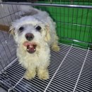 전주문정초등학교 이미지