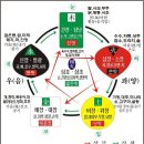 푸른건강녹즙 이미지