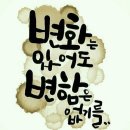 칠광 Daum카페