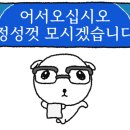브루티풀