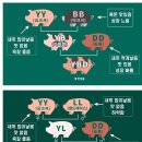 상향평준화