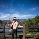 장회나루휴게소 | 충주호 여행 코스 추천 단양유람선 장회나루 탑승 후기와 꿀팁