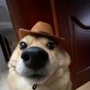 파랑