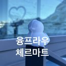 인천굿모닝약국 | [스위스 융프라우 + 체르마트 ] 🏔 8박 10일 스위스🇨🇭 ·파리 신혼여행 Day3