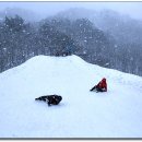 파란하늘목장 이미지