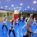 국가대표 한빛태권도 이미지