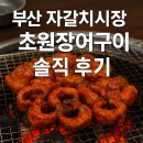 자갈치장어구이 | 부산 자갈치시장 초원장어구이 솔직 후기 🐉 (양념구이? 양념볶음?)