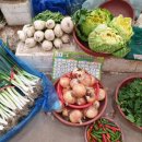 강진오감통 이미지