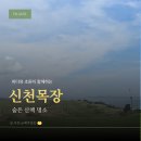 신천목장 | 신천목장 산책 후기｜제주 바다와 초원을 함께 만나는 올레길 숨은 명소