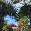 동서울건기(주) | 나트랑가족여행#3. 나트랑 화란섬 원숭이섬 투어